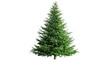 © Michael - Empty undecorated natural fresh green christmas tree on transparent background