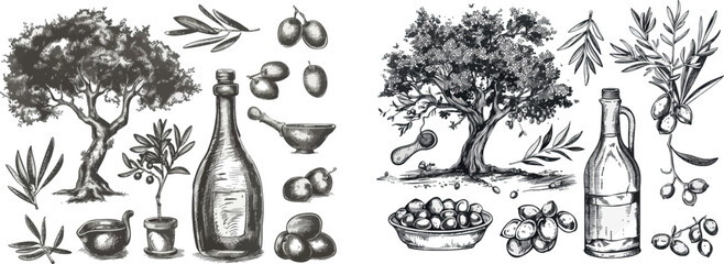 Sticker - Modern illustration set with olive trees, sketch oil bottles and olive branches with leaves. Branch olive tree, plant oil vegetarian illustration.