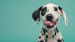 © AI_images_for_people - A playful and hungry Dalmatian puppy dog eating and licking its lips with tongue. Isolated on a mint green pastel background.