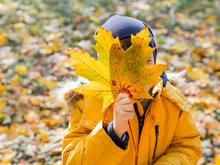 Wall Mural - Little boy is hiding behind bright yellow maple leaf. Autumn fun with fallen leaves in park. Leisure activity outdoors. Autism. Autism spectrum disorder.