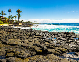 Wall Mural - Tide Pools on Exposed Lava Reef at Kukuiula Landing Park, Kalaheo, Kauai, Hawaii, USA