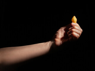 Wall Mural - pasta conchiglie in hand on black background