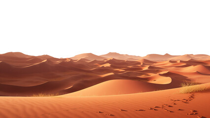 Wall Mural - desert dune of sand with transparent sky