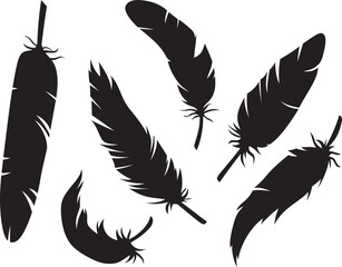 Wall Mural - Set of vector feather silhouettes