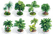 © Zaharia Levy - Exotic Jungle Plants Isometric Collection stock image isolated vector style