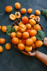 Wall Mural - Girl holding a big plate with apricots, summer harvest concept