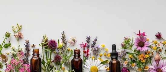 Canvas Print - Various essential oils and flowers displayed on a white backdrop with copy space image