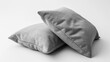 © Daria  - The pair of grey pillows