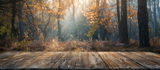 Poster - Wooden desk with rustic texture set against a blurred forest background providing ample copy space for images