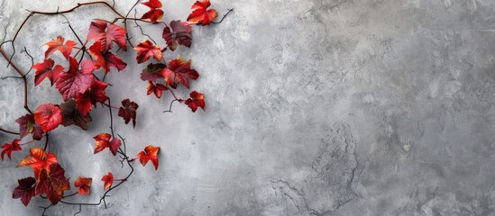 Wall Mural - a stunning image of a red grape vine branch showcasing vibrant red and orange leaves on a concrete w