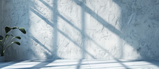 Sticker - Perspective view of a blank wall with shadows from the window providing copy space image