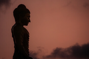 statue of a Buddha is standing in a field with a cloudy sky in the background