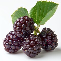 Sticker - Fresh Blackberries Gathered With Green Leaves on White Background