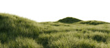 Hills with grass on a transparent background. 3D rendering.	
