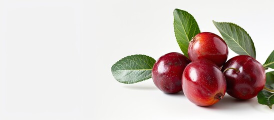 Sticker - Ziziphus mauritiana known as Jujube Indian plum or Chinese Apple displayed on a white background for copy space image