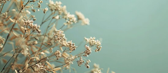 Green background with dried flowers copy space image