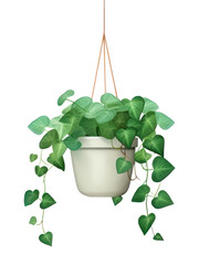 Poster - PNG Plant hanging leaf ivy.