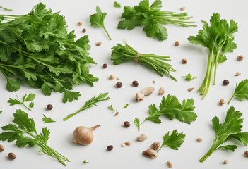 Wall Mural - Mediterranean herbs and spices set of fresh healthy parsley leaves twigs and a small bunch isolated