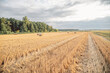 © mariyakuprevich - Rural landscape with hay rolls and clouds