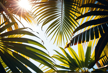 summer background colorful leaves artistic wallpaper featuring palm trees summer shades botanical tropical leaves sunlight shadows