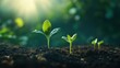 © Олег Фадеев - Young plants, possibly seedlings, growing from dark, rich soil, with sunlight filtering through the leaves, creating a bokeh effect in the background