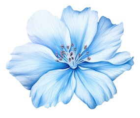 Wall Mural - PNG Soft Blue Flower flower hibiscus blossom.