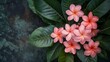 © FryArt - Pink ixora chinensis blooms among lush green foliage in exotic tropical garden