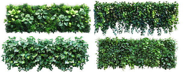 Collection of lush green hedges and bush foliage for landscaping and gardening design. Perfect for outdoor decoration and natural scenography. transparent background