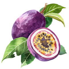 Wall Mural - watercolor passion fruit label in flat paper design, Hand-drawn watercolor painting on a white background. Vector illustration of passion fruit, vector slice of passion fruit