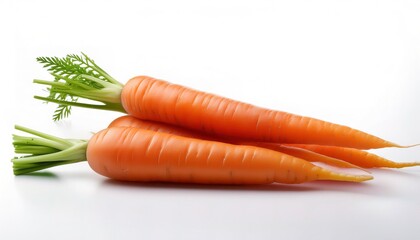 Wall Mural - carrot - Daucus carota subsp. sativus - is a tap root vegetable, typically orange in color, used in chopped and boiled, fried or steamed, and cooked in soups and stews, as well as baby and pet foods.