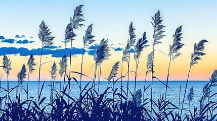 Poster -  Sunset on Water with Sea Oats and Clouds