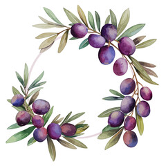 Title: Watercolor green and black olives labeled on flat paper, green and black olive branches framed in watercolor style with green leaves isolated on white, Watercolor olive wreath