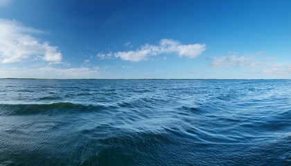 Wall Mural - blue water panorama background with soft waves on florida lake