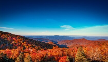 Sticker - nature blue ridge mountains illustration forest autumn tree fall travel outdoor nature blue ridge mountains