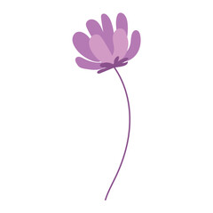 Wall Mural - colored flower icon spring time vector