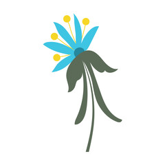 Wall Mural - colored flower icon spring time vector