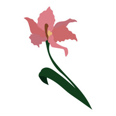 Wall Mural - colored flower icon spring time vector