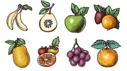 Poster - Hand-Drawn Colorful Fruit Set for Design