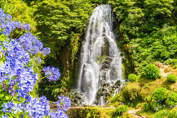 Wall Mural - Waterfall in tropical gardens with flowers and exotic plants in Ribeira do Caldeiros park, Sao Miguel island, Azores, Portugal