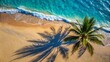 © Matan - abstract sand beach with palm leaf shadow and blue water wave from above, summer vacation outdoors in tropical paradise nature, background with space