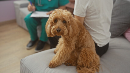 Poster - A dog sits attentively beside a man in scrubs on a couch in a cozy, well-lit living room, suggesting a home veterinary visit.