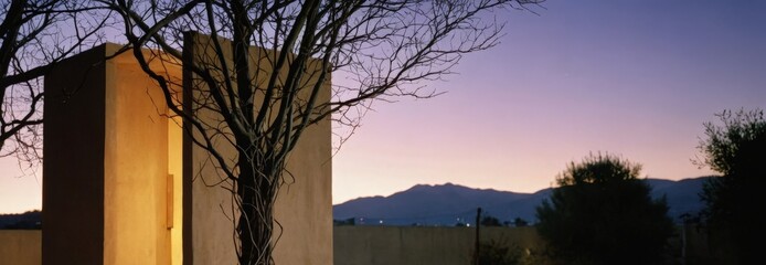 Wall Mural - Silhouetted tree branches against a sunset sky.
