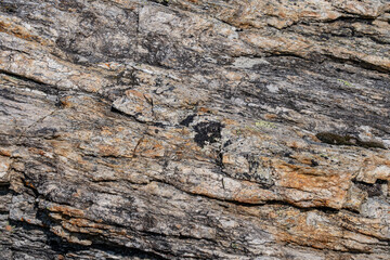 mica-quartz schist / Yukon-Tanana Terrane bedrock, Savage River canyon, Denali National Park & Preserve, Alaska geology