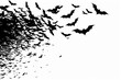 © Md Shahjahan - A black and white image of a large flock of bats flying in the sky. Concept of darkness and mystery, as the bats are silhouetted against the white background