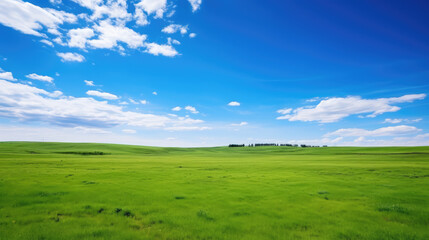 Sticker - Expansive Green Field under Clear Blue Sky