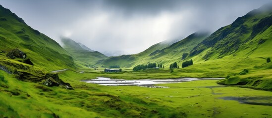 Canvas Print - Panoramic Misty Green Valley Landscape