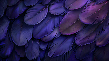 Wall Mural - Dark purple color feathers abstract background, ultra realistic photography