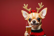 © Владимир Солдатов - A small Chihuahua dog with big expressive eyes, dressed in a red Christmas sweater with white patterns, golden festive antlers with red decorations on its head, holding a glass of sparkling drink