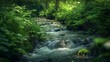 © kaiserseeing - A tranquil forest stream flows over rocks, surrounded by lush greenery and bathed in soft, natural light.