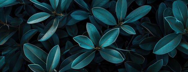 Wall Mural - Dark Green Botanical Background Premium Image